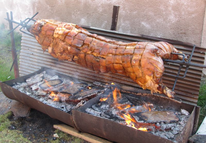 Prasátko jde do finále.