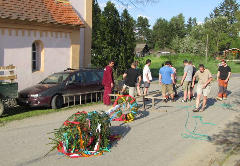 Příprava máje.